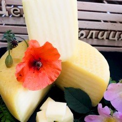 Сир напівтвердий «Кашкавал Бессарабський» Сир напівтвердий «Кашкавал Бессарабський»