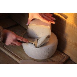 Сир козфій твердий "Легіонер"