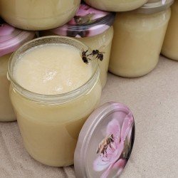 Мед Ріпаковий