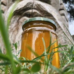 Мед Софоровий