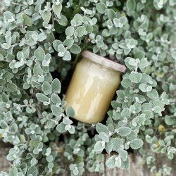 Мед Рапсово-Акацієвий