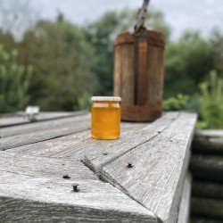 Мед Липовий